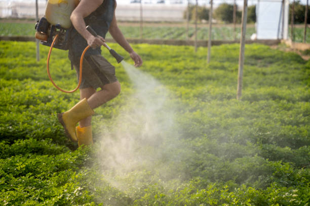 Best Commercial Pest Control Services  in Englewood, TN