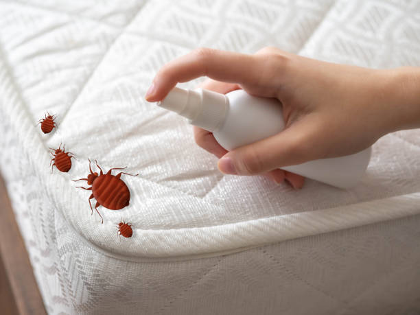 Best Mosquito Control Services  in Englewood, TN