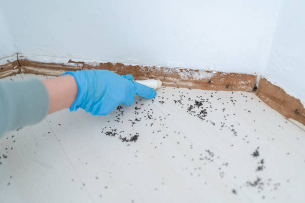 Wildlife Control Services in Englewood, TN